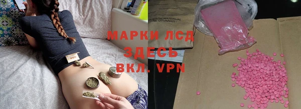 шишки Беломорск