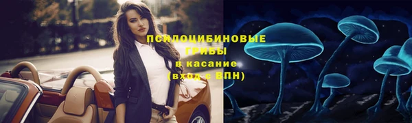 шишки Беломорск