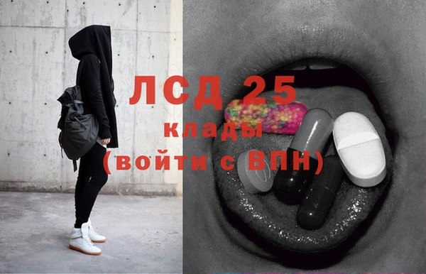 шишки Беломорск