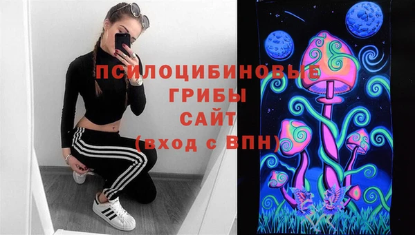 ГАЛЛЮЦИНОГЕННЫЕ ГРИБЫ Богданович