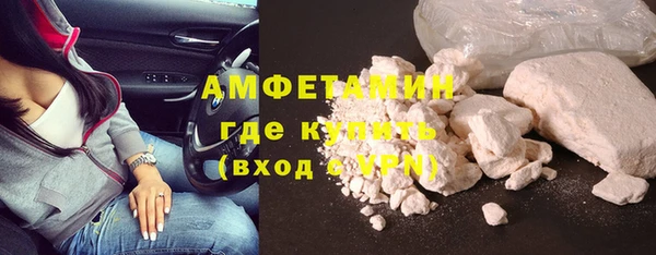 шишки Беломорск