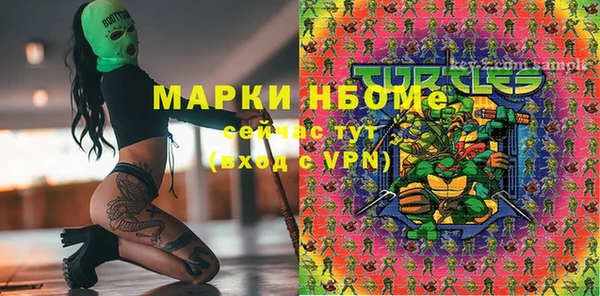 ГАЛЛЮЦИНОГЕННЫЕ ГРИБЫ Богданович