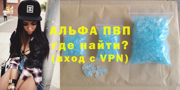 ГАЛЛЮЦИНОГЕННЫЕ ГРИБЫ Богданович