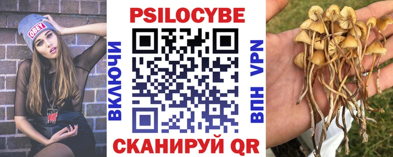Псилоцибиновые грибы MAGIC MUSHROOMS  где продают наркотики  блэк спрут рабочий сайт  Богучар 